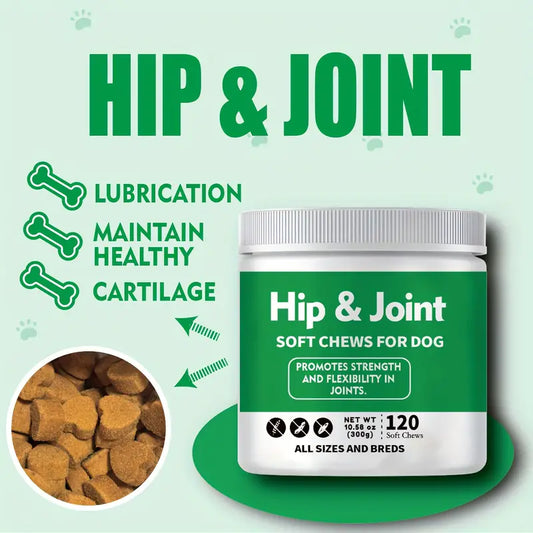 Dog Joint Supplement For Senior Dogs